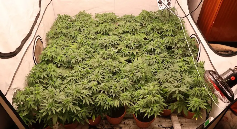 laboratorija 4_jpg.webp